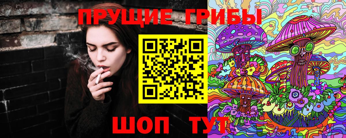 Псилоцибиновые грибы Psilocybe Канаш