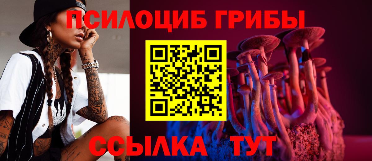 Галлюциногенные грибы Psilocybine cubensis  Галлюциногенные грибы мицелий  Вход с VPN  Канаш 